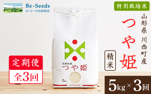 【毎月定期便】山形県産特別栽培米「つや姫」5kg(5kg×1袋)全3回【4076718】