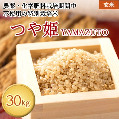 令和7年特別栽培米　農薬化学肥料栽培期間中不使用つや姫YAMAZUTO　玄米30kg【1668049】