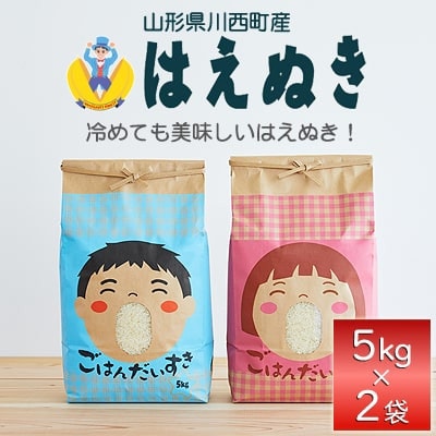 《先行予約》令和8年産　山形県産　はえぬき　10kg(5kg×2)【1207046】