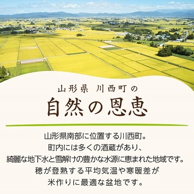 令和7年産　山形県産　つや姫・雪若丸　計4kg【1144535】