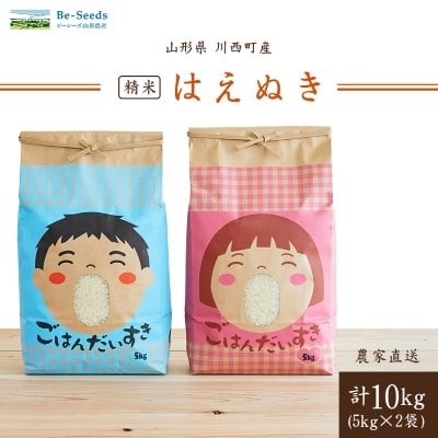 令和7年産　山形県産　はえぬき　10kg(5kg×2袋)【1144537】