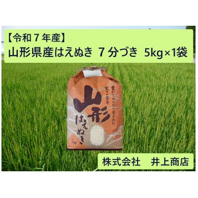 令和7年産山形県産はえぬき　7分づき5kg×1袋【1728609】