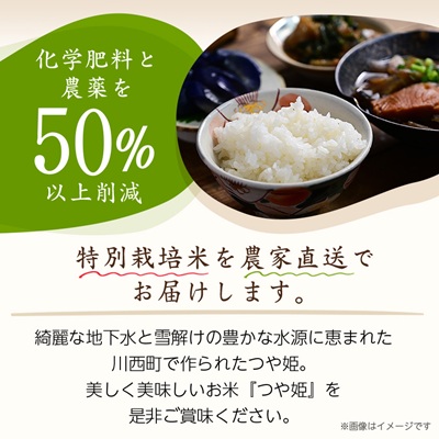 【毎月定期便】山形県産特別栽培米「つや姫」5kg(5kg×1袋)全3回【4076718】