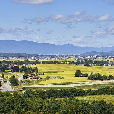 【毎月定期便】山形県産特別栽培米「つや姫」5kg(5kg×1袋)全3回【4076718】