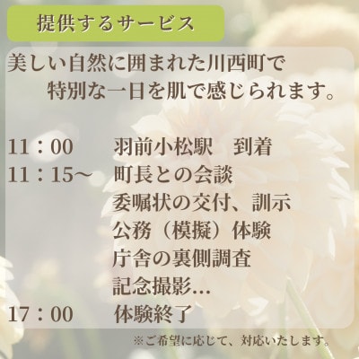 ã山圢çå·è¥¿çºãäžæ¥ããããçºé·äœéš(1æ³3é£(æŒé£ã»å€é£ã»æé£)/1åæ§)ã1744127ã