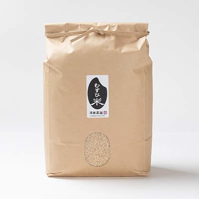 令和7年産 コンクール受賞農家直送 山形県産つや姫5kg 玄米【浦田農園 むすび米】【1580605】