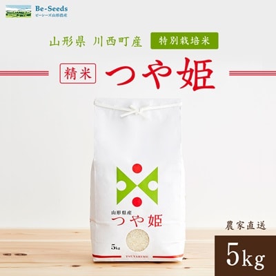 令和7年産　山形県産　つや姫　5kg【1144529】