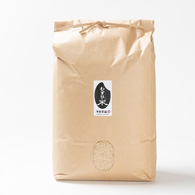 令和7年産 コンクール受賞農家直送 山形県産はえぬき10kg 玄米【浦田農園 むすび米】【1522445】