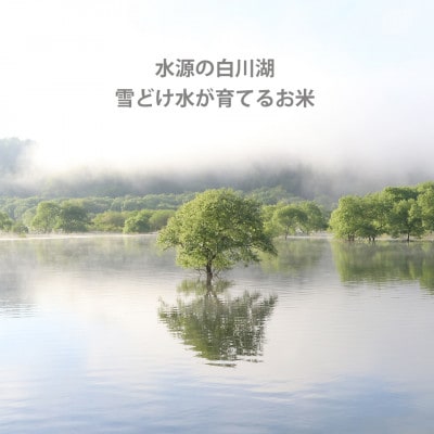 令和7年産 コンクール受賞農家直送 山形県産つや姫10kg【浦田農園 むすび米】【1580609】