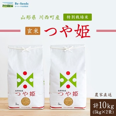 令和7年産　山形県産　つや姫　玄米　10kg【1144539】