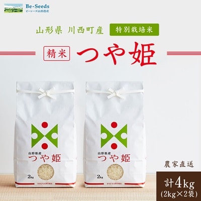 令和7年産　山形県産　つや姫　4kg【1144528】