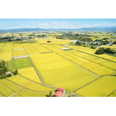 什å7幎ç£ã山圢çç£ãã€ãå§«ãç¡æŽç±³ã4kgã1729420ã