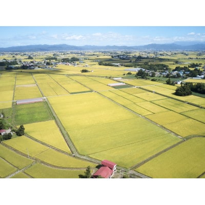 ãå
è¡äºçŽã什å8幎ç£ã山圢çç£ãéªè¥äžžã4kg(2kgÃ2)ã1120494ã
