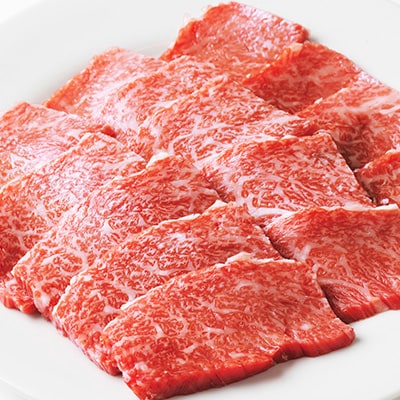 邀ウ豐「迚帙き繝ォ繝鍋┥縺崎i逕ィ(400g)縲宣埼∽ク榊庄蝨ー蝓滂シ夐屬蟲カ繝サ豐也ク逵後サ荳ュ蝗ス繝サ荵晏キ槭代1290973縲