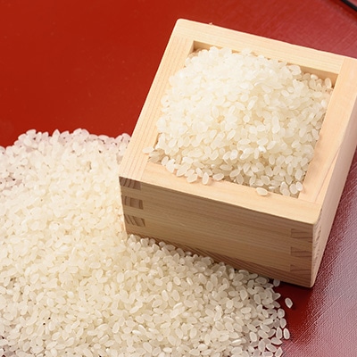 【令和7年産】特別栽培雪若丸　精米 5kg【1676081】
