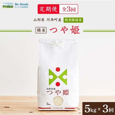 【毎月定期便】山形県産特別栽培米「つや姫」5kg(5kg×1袋)全3回【4076718】