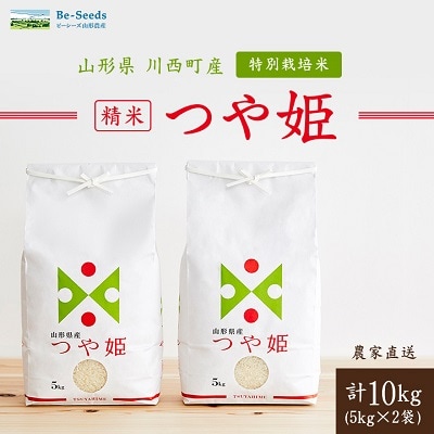 《先行予約》令和8年産　山形県産　つや姫　10kg(5kg×2袋)【1120492】