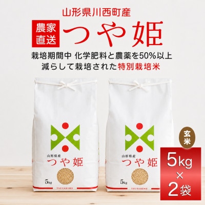 《先行予約》令和8年産　山形県産　つや姫　玄米　10kg(5kg×2)【1208104】
