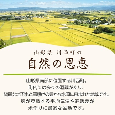 令和7年産　山形県産　雪若丸　4kg【1144532】
