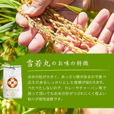 令和7年産　山形県産　雪若丸　玄米　10kg(5kg×2袋)【1660788】