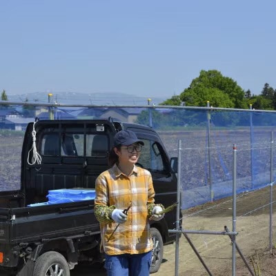 【先行予約】令和9年 山形県川西町産 雪国春アスパラガス 訳あり(不揃い) S〜2Lサイズ　500g【配送不可地域：離島・北海道・沖縄県・信越、北陸・近畿・中国・四国・九州】【1764700】
