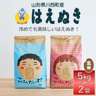 《先行予約》令和8年産　山形県産　はえぬき　玄米　10kg(5kg×2)【1208100】