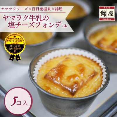 ヤマラク牛乳の塩チーズフォンデュ5個入【1676250】