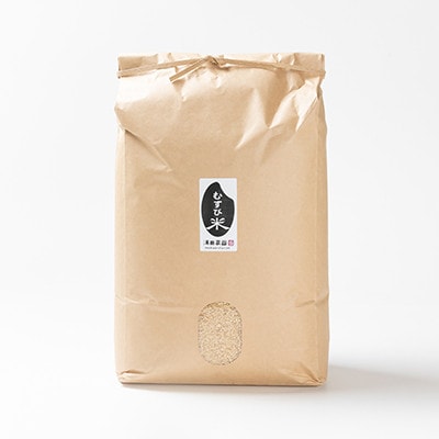 令和7年産 コンクール受賞農家直送 山形県産つや姫10kg 玄米【浦田農園 むすび米】【1580610】