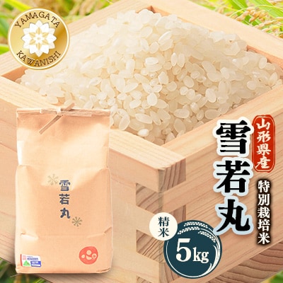 【令和7年産】特別栽培雪若丸　精米 5kg【1676081】