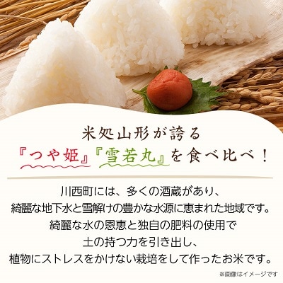 令和7年産　山形県産　つや姫・雪若丸　計4kg【1144535】