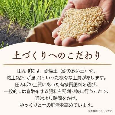 令和7年産　山形県産　はえぬき　10kg(5kg×2袋)【1144537】