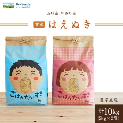 令和7年産　山形県産　はえぬき　玄米　10kg【1144538】