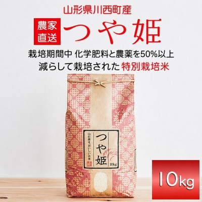 《先行予約》令和8年産　山形県産　つや姫　10kg【1120493】