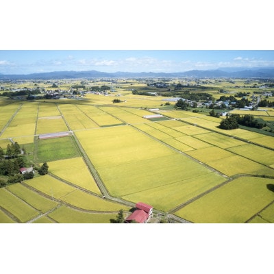 令和7年産　山形県産　つや姫　無洗米　2kg【1746639】