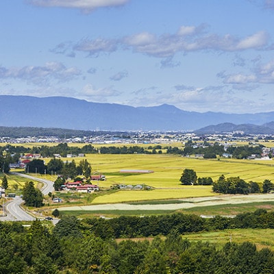 令和7年産　山形県産　つや姫・雪若丸　計10kg【1144536】