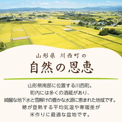 令和7年産　山形県産　雪若丸　玄米　10kg(5kg×2袋)【1660788】