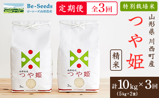 【毎月定期便】山形県産特別栽培米「つや姫」10kg(5kg×2袋)全3回【4076722】