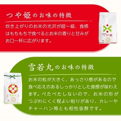 令和7年産　山形県産　つや姫・雪若丸　計4kg【1144535】