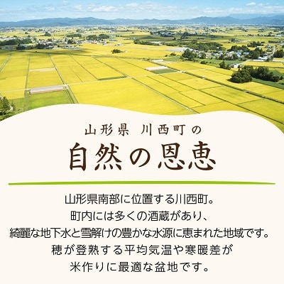 ãå
è¡äºçŽã什å8幎ç£ã山圢çç£ãã€ãå§«ã10kg(5kgÃ2è¢)ã1120492ã