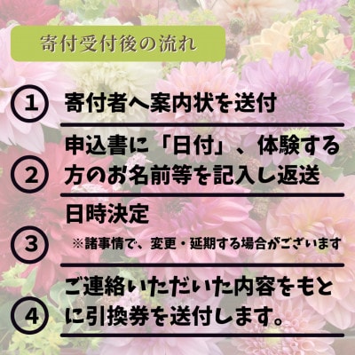 ã山圢çå·è¥¿çºãäžæ¥ããããçºé·äœéš(1æ³3é£(æŒé£ã»å€é£ã»æé£)/1åæ§)ã1744127ã