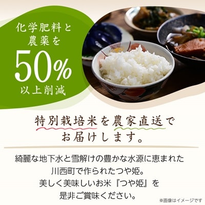 令和7年産　山形県産　つや姫　10kg【1144531】