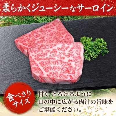 縲千音驕ク邀ウ豐「迚妁-5縲代し繝シ繝ュ繧、繝ウ繧ケ繝繝シ繧ュ縲320g(160gテ2譫)縲宣埼∽ク榊庄蝨ー蝓滂シ夐屬蟲カ縲代1203523縲