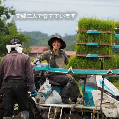 令和7年産 コンクール受賞農家直送 山形県産つや姫10kg 玄米【浦田農園 むすび米】【1580610】