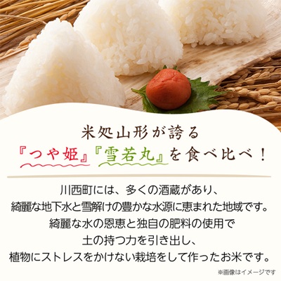 令和7年産　山形県産　つや姫・雪若丸　計10kg【1144536】