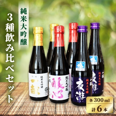 【先行予約】中沖酒造 純米大吟醸 飲み比べセット 3種×各2本(各300ml 計6本)【配送不可地域：離島】【1723277】