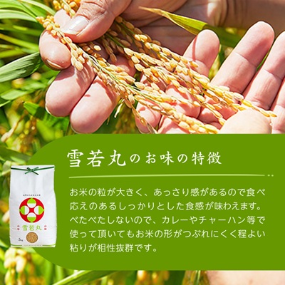令和7年産　山形県産　雪若丸　玄米　10kg(5kg×2袋)【1660788】
