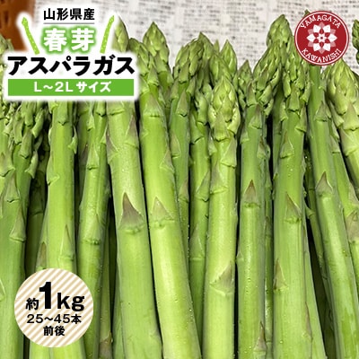 【令和8年産】先行受付!春芽アスパラガス約1kg(L〜2Lサイズ 25〜45本前後)【配送不可地域：離島・北海道・沖縄県・信越、北陸・東海・近畿・中国・四国・九州】【1470202】