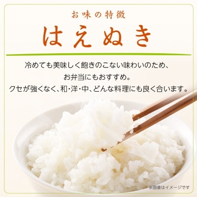 令和7年産　山形県産　はえぬき　10kg(5kg×2袋)【1144537】