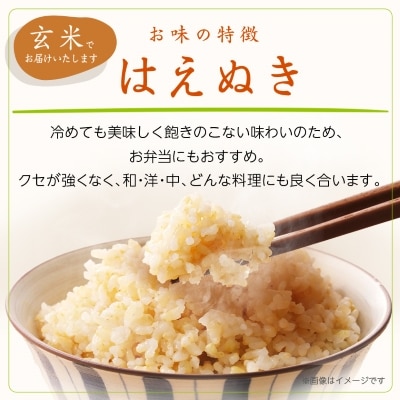 令和7年産　山形県産　はえぬき　玄米　10kg【1144538】