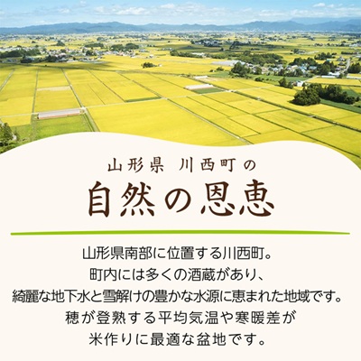 令和7年産　山形県産　つや姫・雪若丸　計10kg【1144536】